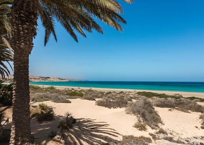 Home2book Coastal Paradise & Terrace,